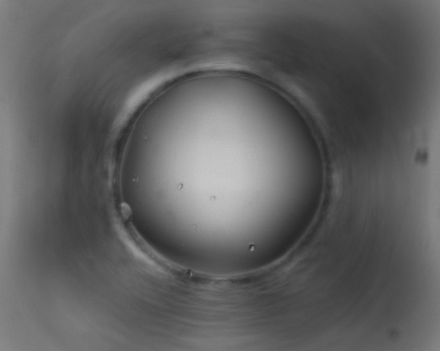 X0000114181416200910081448