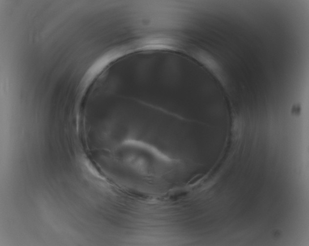 X0000114181419200910081448