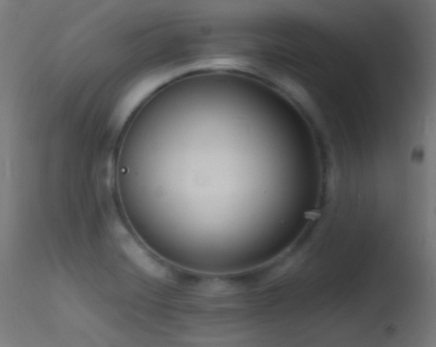 X0000114181420200910081448