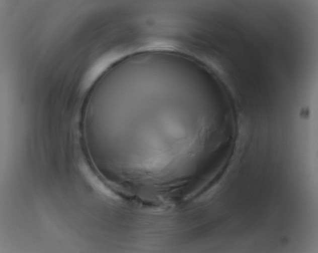 X0000114181422200910081448