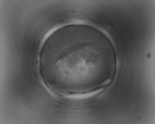 X0000114181424200910081448