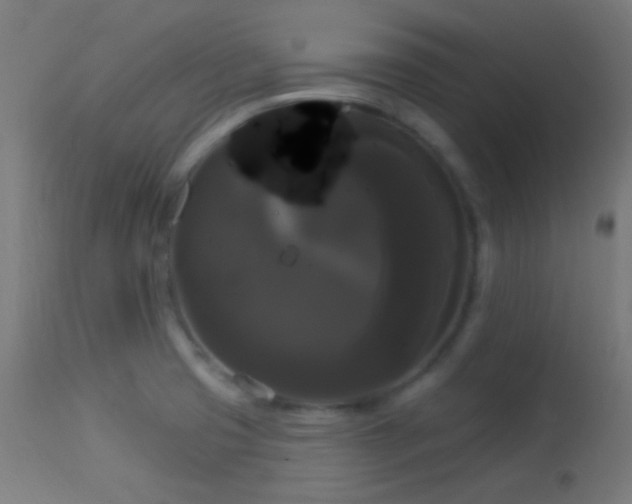 X0000114181425200910081448