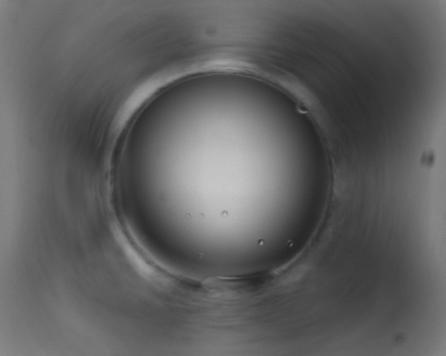 X0000114181430200910081448
