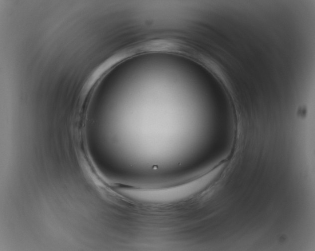 X0000114181434200910081449