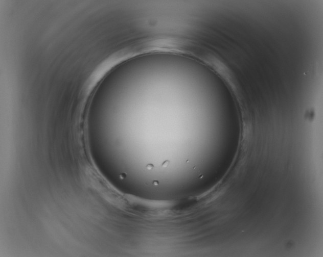 X0000114181435200910081449