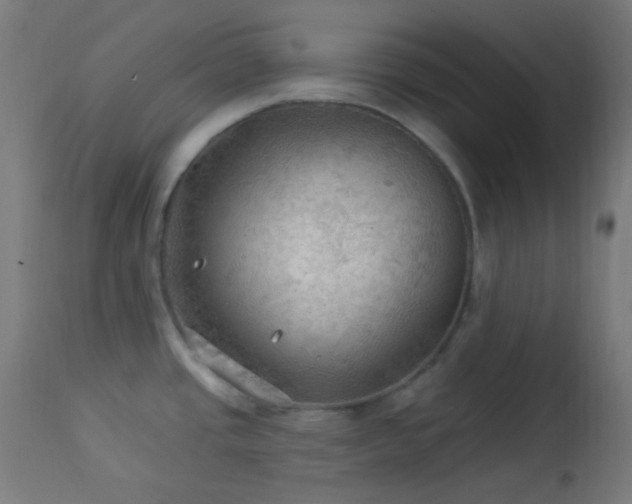 X0000114181437200910081449