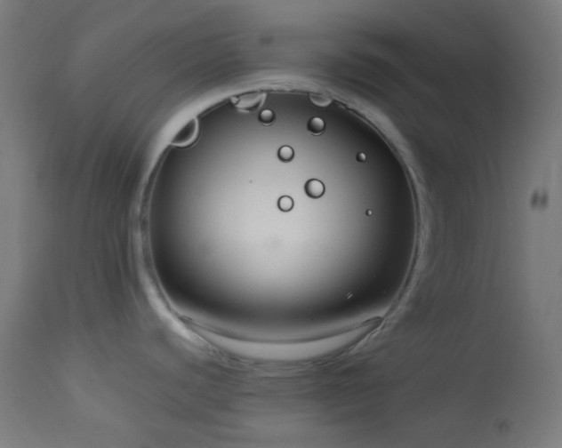 X0000114181440200910081449