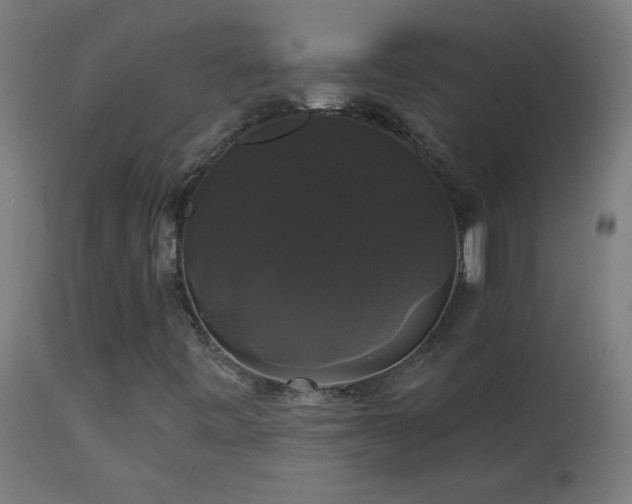 X0000114181443200910081448