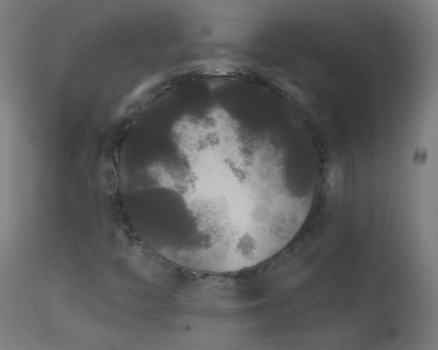 X0000114181446200910081448