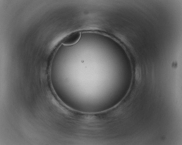 X0000114181452200910081447