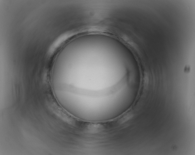 X0000114181454200910081447