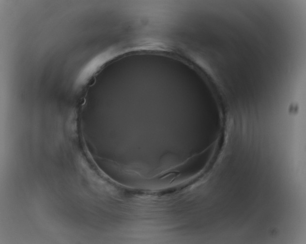 X0000114181455200910081447