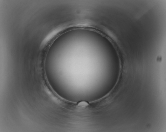 X0000114181456200910081447