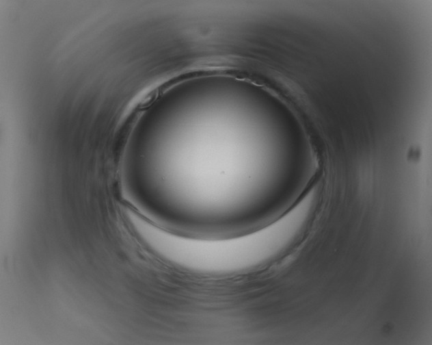 X0000114181457200910081447