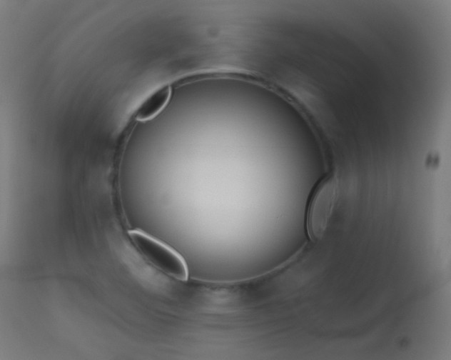 X0000114181460200910081447