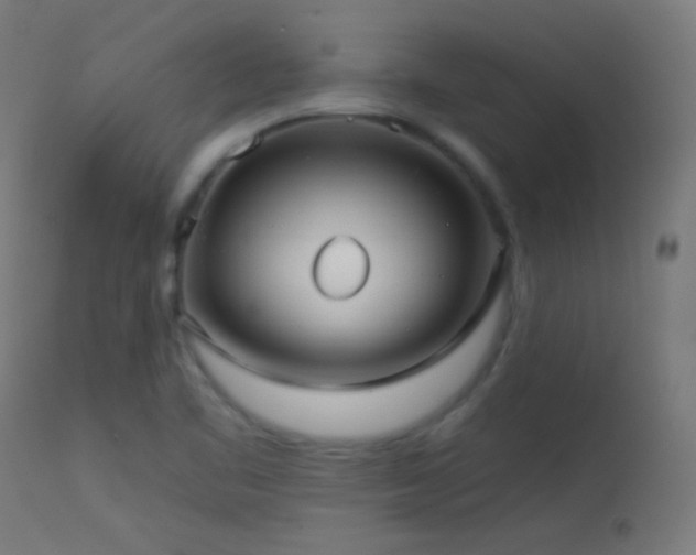 X0000114181461200910081447