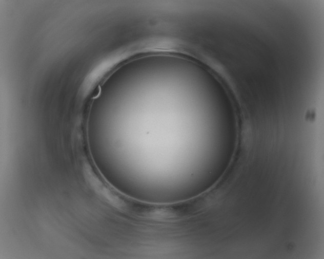 X0000114181464200910081447