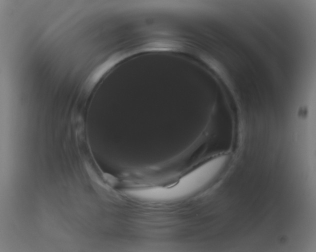 X0000114181465200910081447