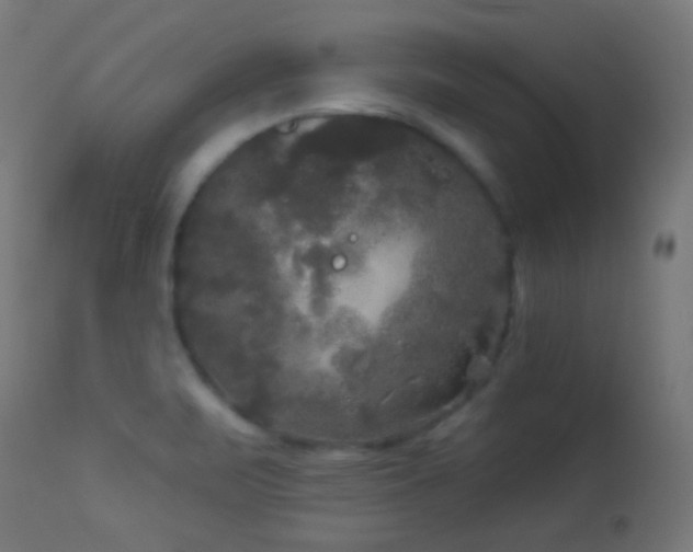 X0000114181471200910081447