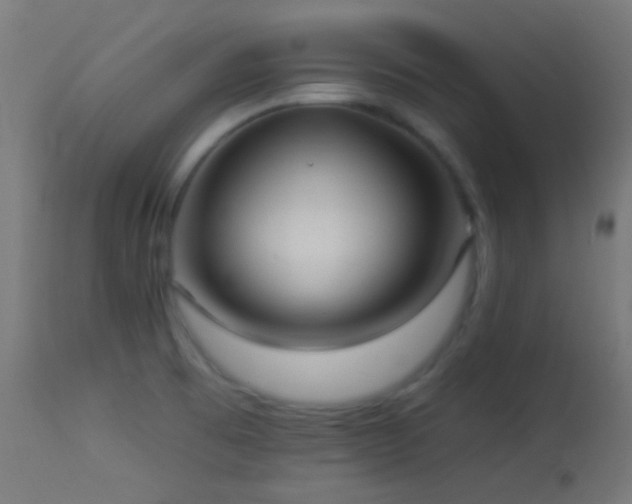 X0000114181473200910081447