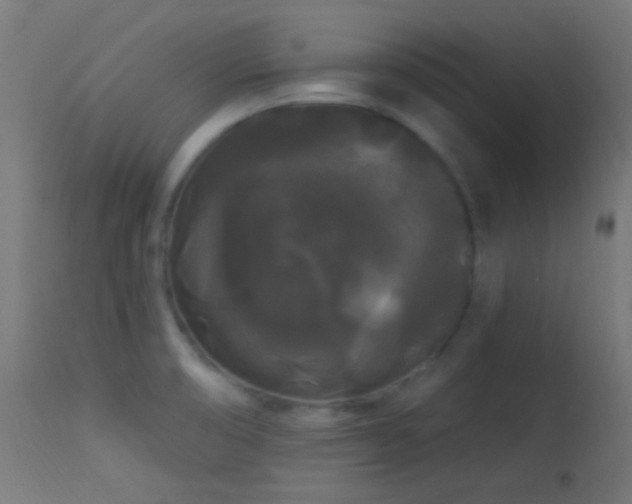 X0000114181474200910081447