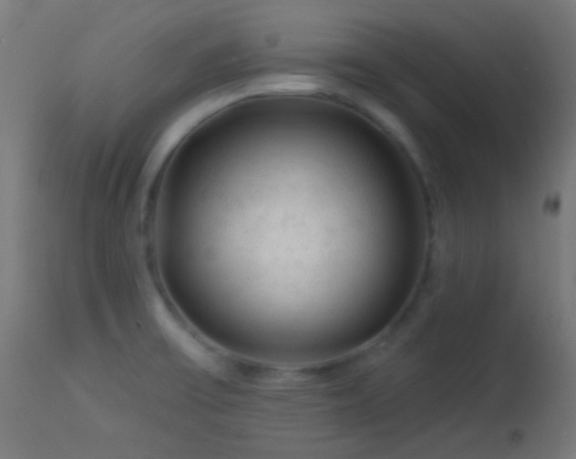 X0000114181475200910081447