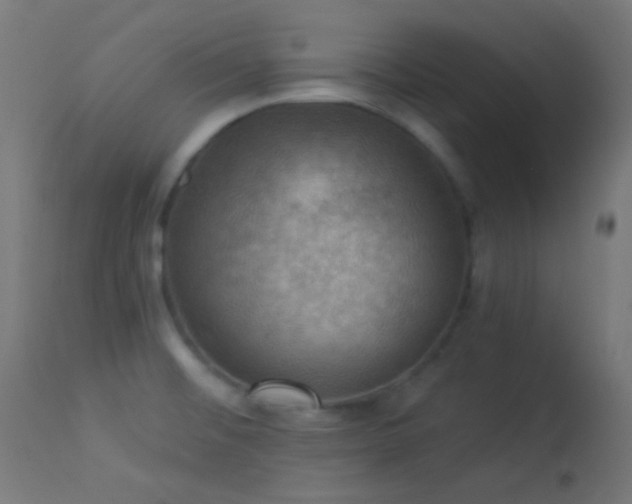 X0000114181476200910081447
