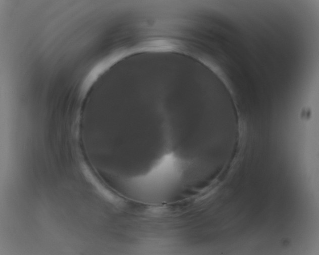 X0000114181477200910081447