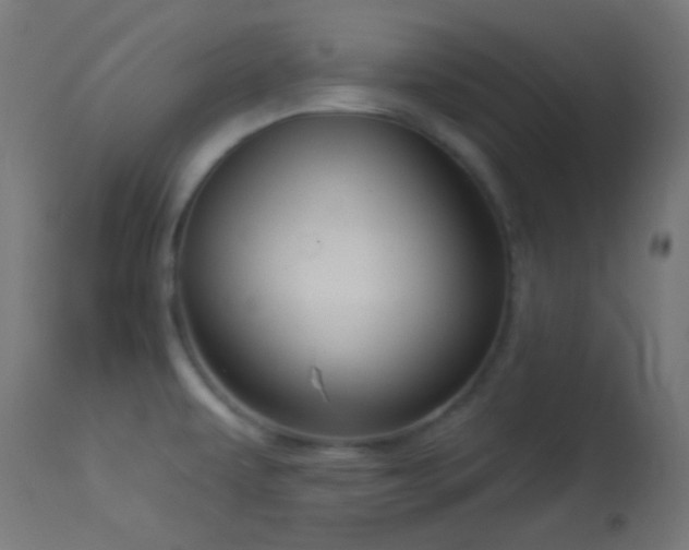 X0000114181479200910081447