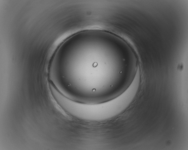 X0000114181480200910081447
