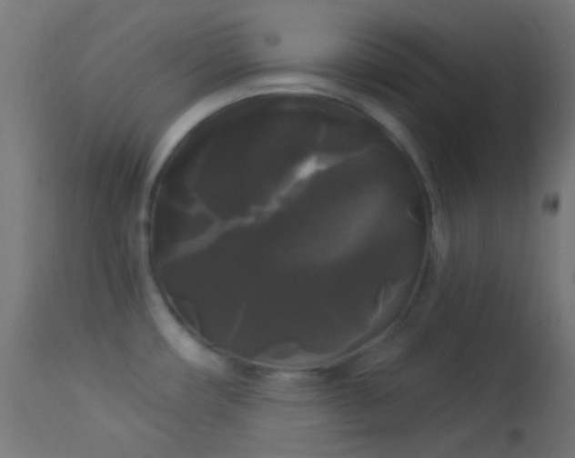 X0000114181482200910081447