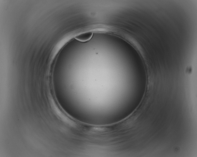 X0000114181483200910081447