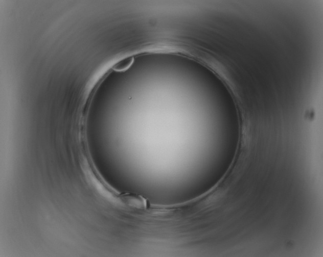 X0000114181484200910081447