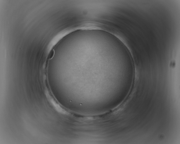 X0000114181485200910081447