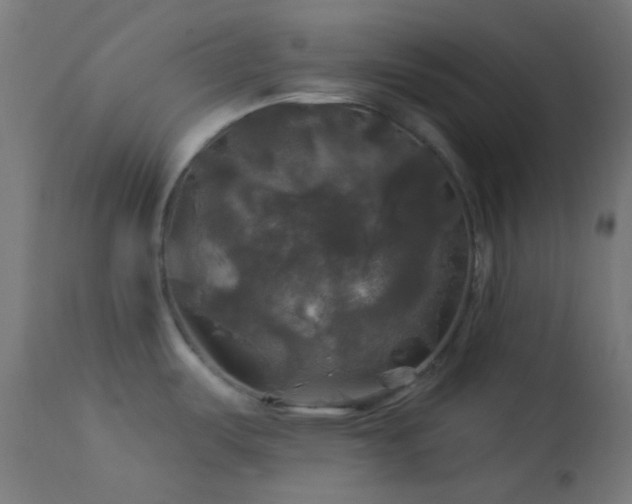 X0000114181487200910081447