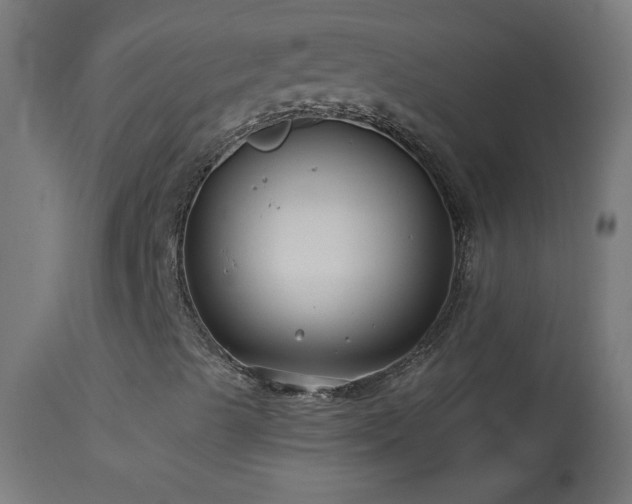 X0000114181489200910081446
