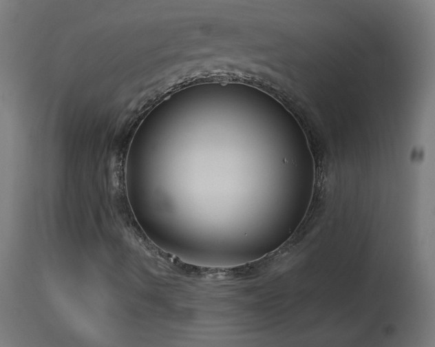 X0000114181490200910081446