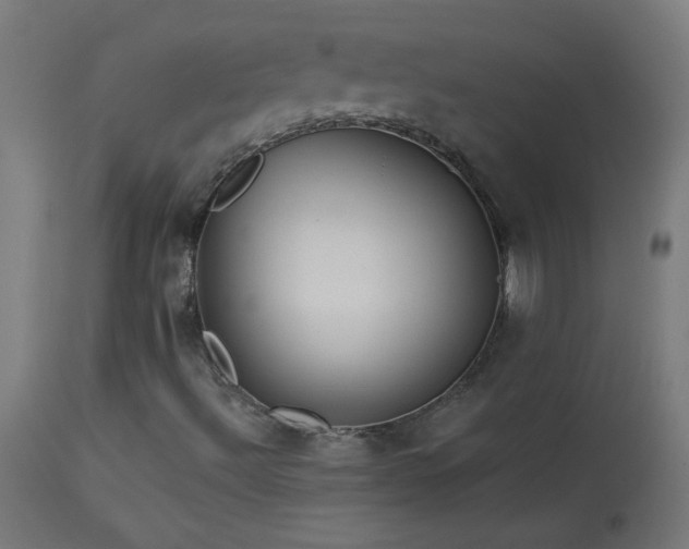 X0000114181492200910081446