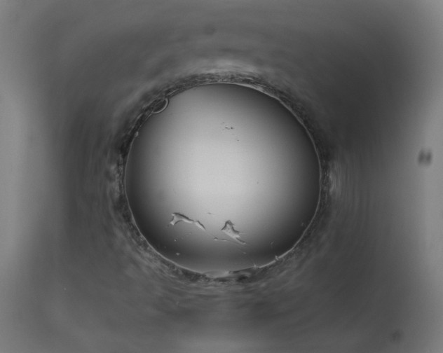 X0000114181493200910081446