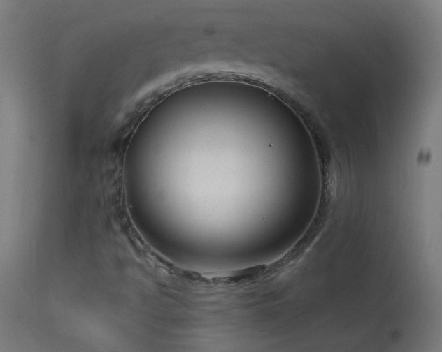 X0000114181494200910081446