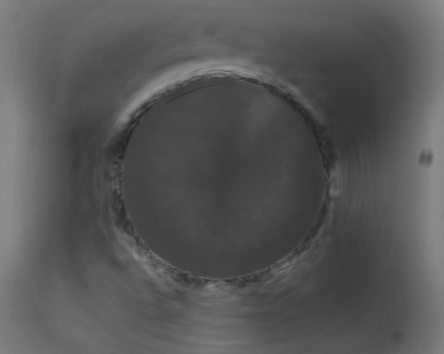 X0000114181496200910081446