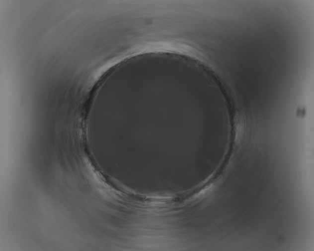 X0000114181497200910081446