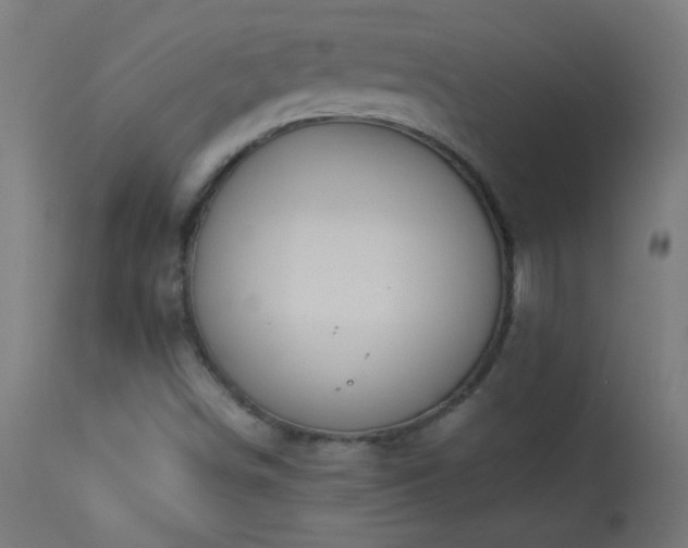X0000114181498200910081446