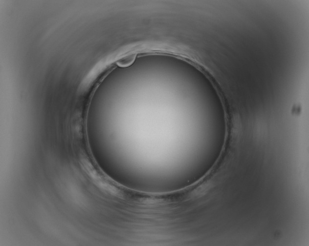 X0000114181499200910081446