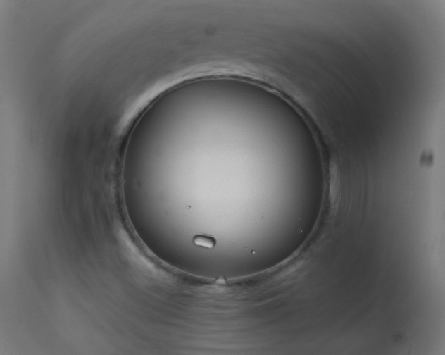 X0000114181500200910081446