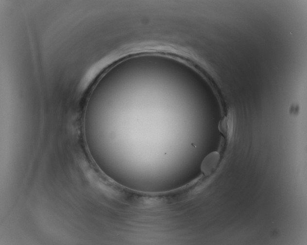 X0000114181501200910081446