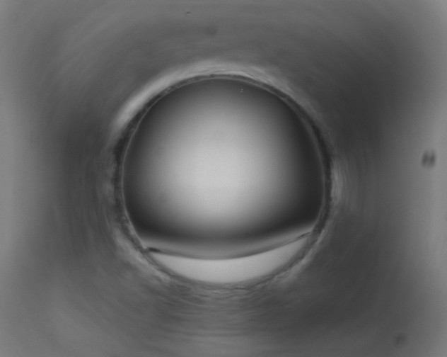 X0000114181502200910081446