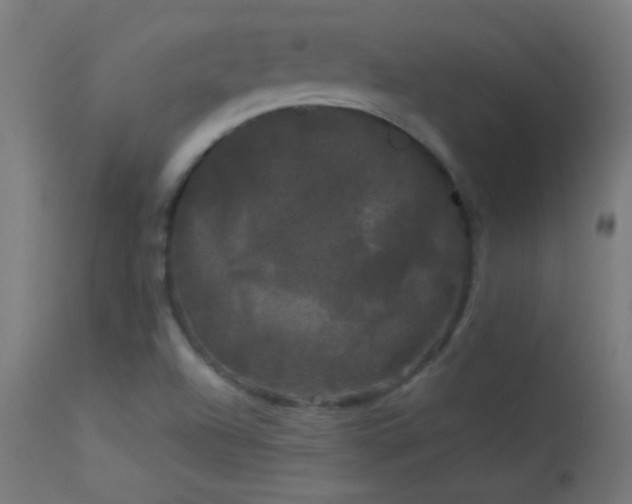 X0000114181504200910081447