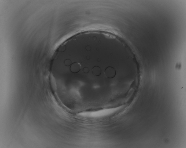 X0000114181505200910081447