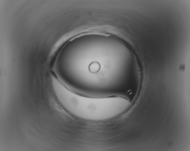 X0000114181506200910081447
